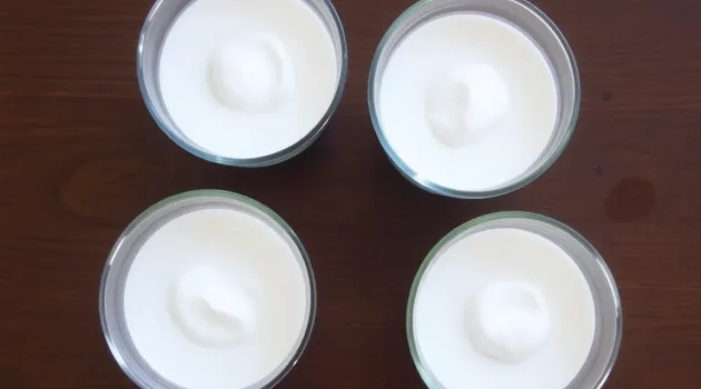 Heerlijk en Fris: Jouw Ultieme Yoghurt Panna Cotta Recept