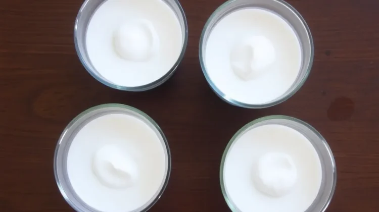 Heerlijk en Fris: Jouw Ultieme Yoghurt Panna Cotta Recept