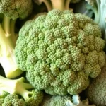 Hoe gezond is broccoli? Ontdek de feiten en praktische tips