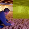 Kruipkelder isoleren en kostenfactoren: wat u moet weten