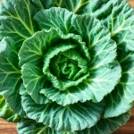 Spitskool gezond afvallen tips: zo pak je het slim aan